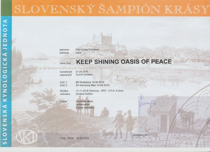 Titul Slovenský Šampion